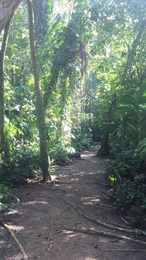 Hotel Cahuita Luaran gambar