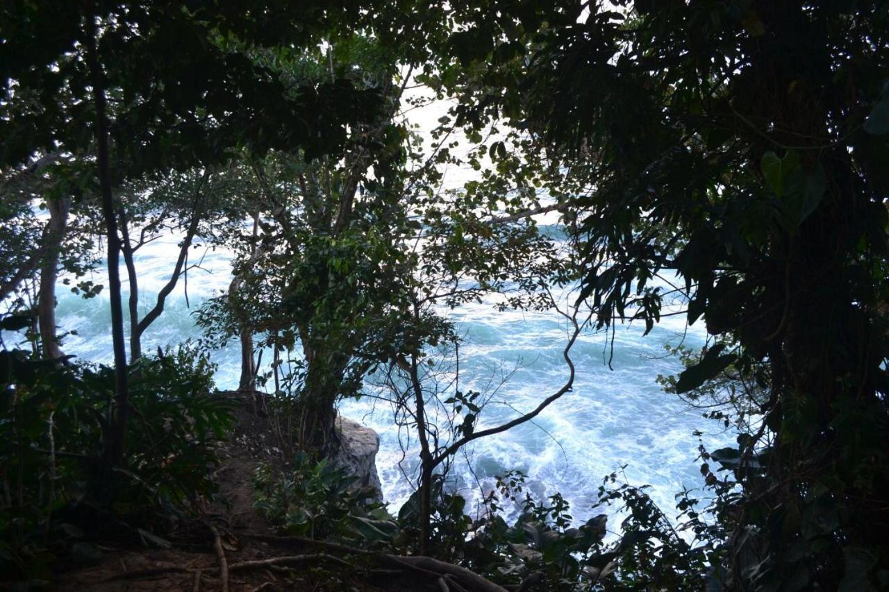 Hotel Cahuita Luaran gambar