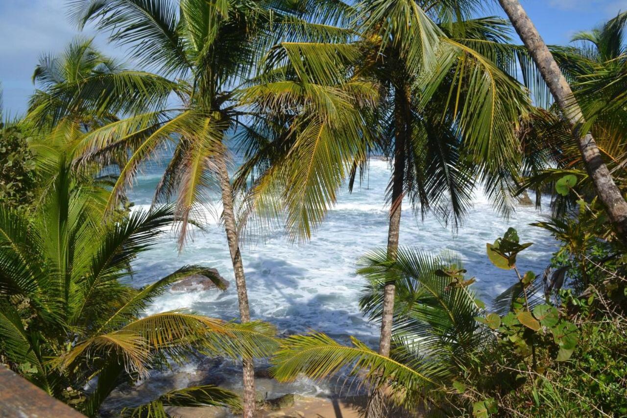 Hotel Cahuita Luaran gambar
